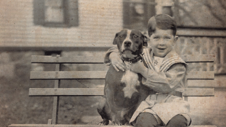Historia de la Raza: American Pitbull Terrier