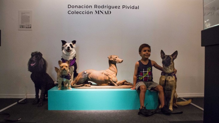 Perros sueltos en el museo: primera exposición de arte pet friendly