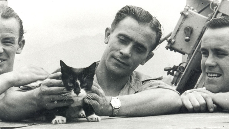 Simón, el gato marinero