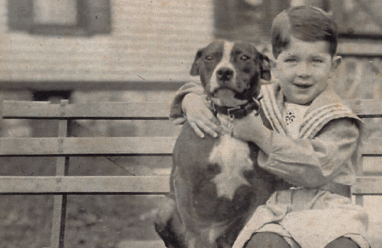 Historia de la Raza: American Pitbull Terrier