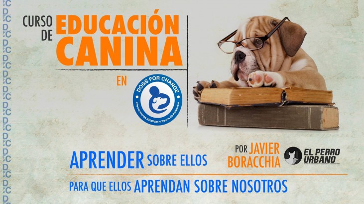 Curso de Formadores en Educación Canina DOGS FOR CHANGE