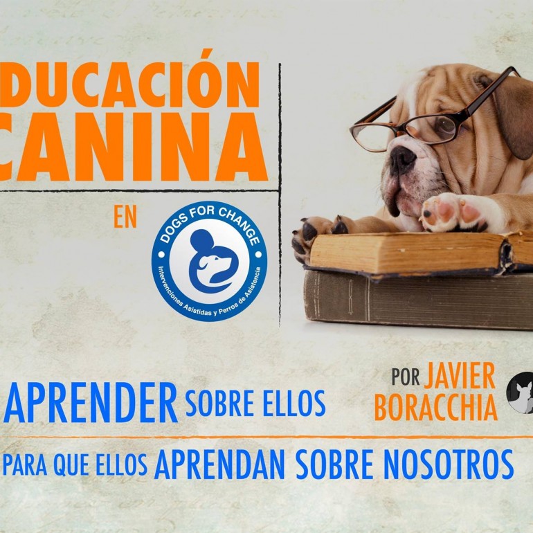 Curso de Formadores en Educación Canina DOGS FOR CHANGE